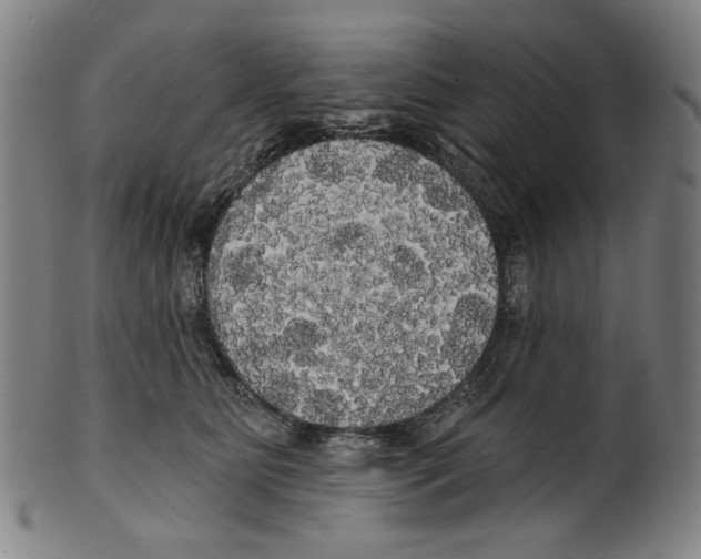 X0000099420515200806060958