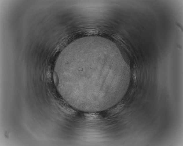 X0000099420516200806060958