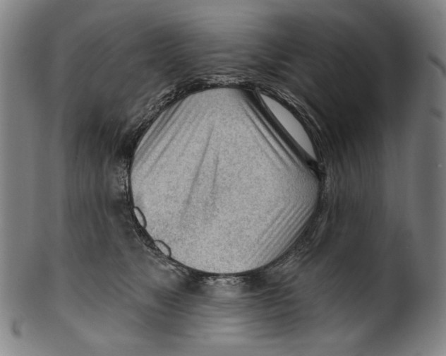 X0000099420517200806060958