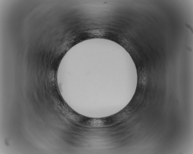 X0000099420518200806060958