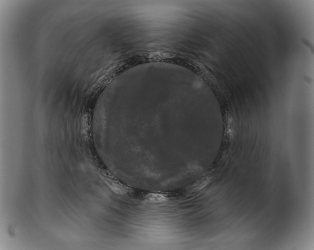 X0000099420519200806060958