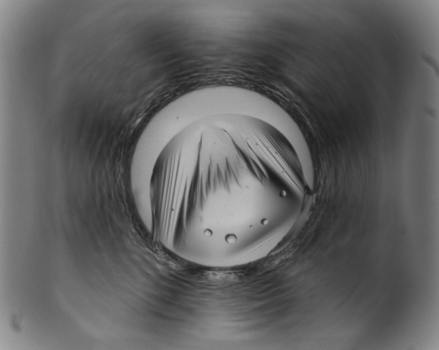 X0000099420520200806060958