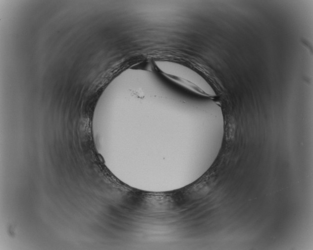 X0000099420521200806060958