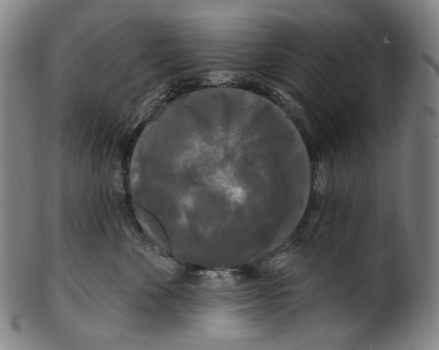 X0000099420524200806060958
