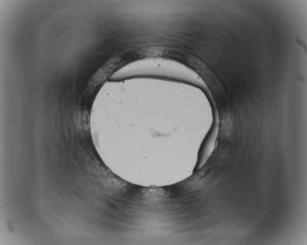 X0000099420525200806060958