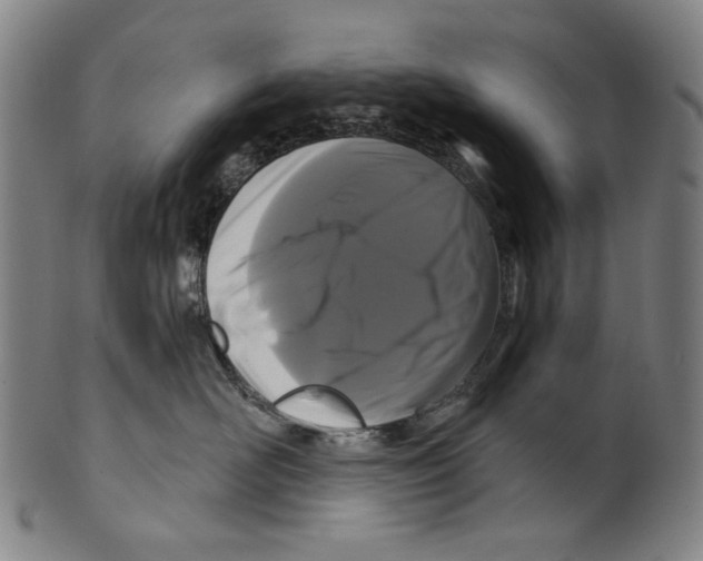 X0000099420526200806060958
