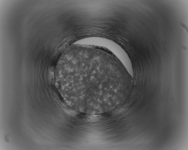 X0000099420527200806060958