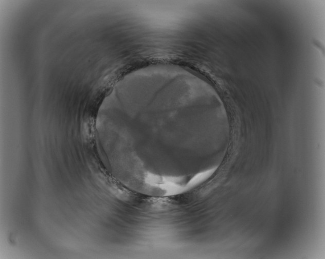 X0000099420528200806060958