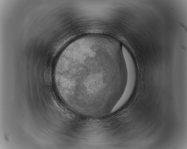 X0000099420531200806060957