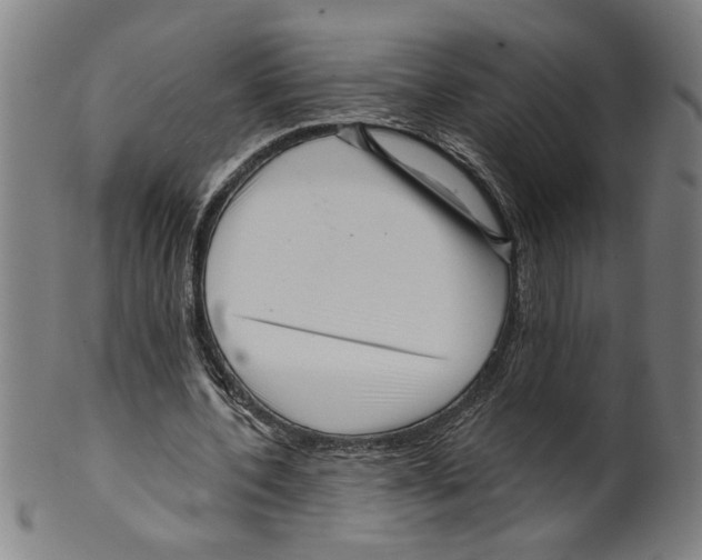 X0000099420532200806060957