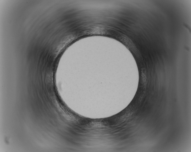 X0000099420534200806060957