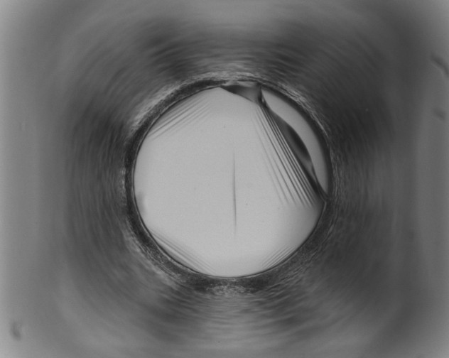X0000099420535200806060957