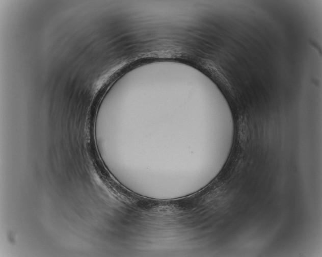 X0000099420536200806060957