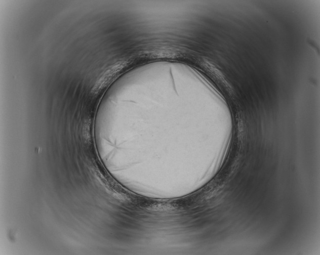 X0000099420537200806060957