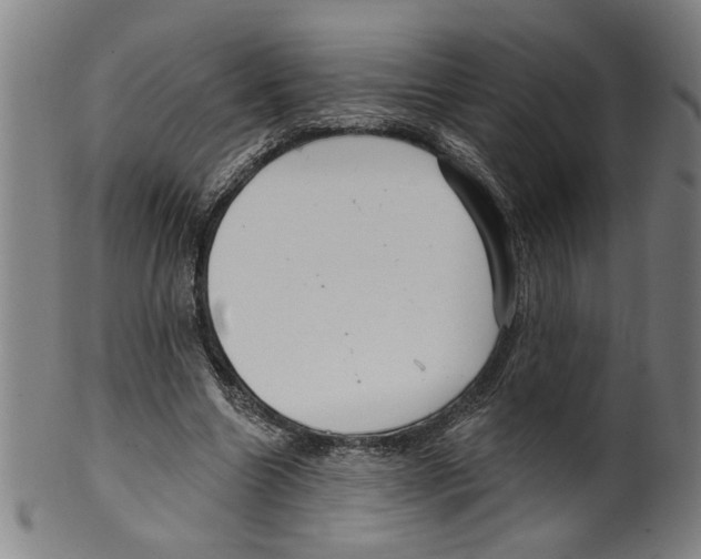 X0000099420538200806060957