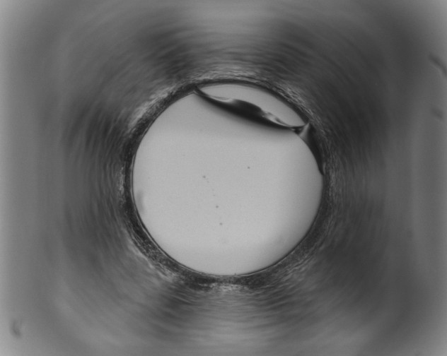 X0000099420539200806060957