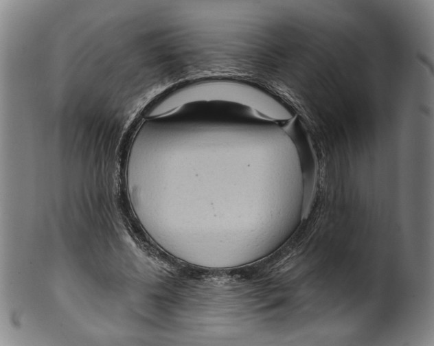 X0000099420540200806060957