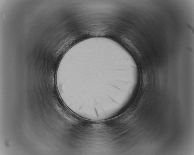 X0000099420541200806060957