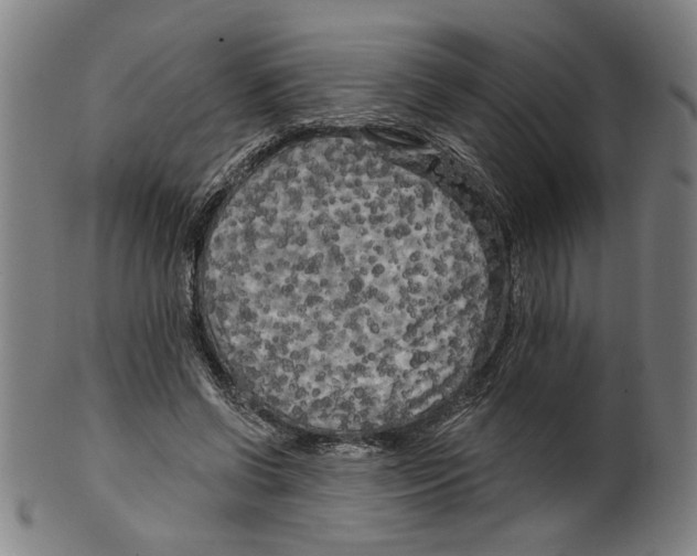 X0000099420542200806060957