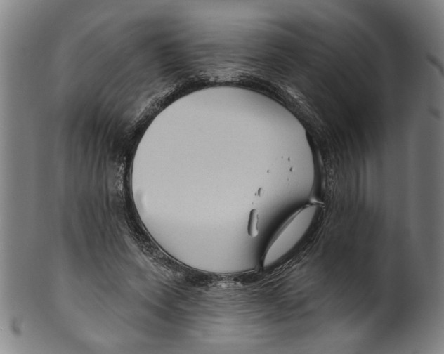 X0000099420543200806060957