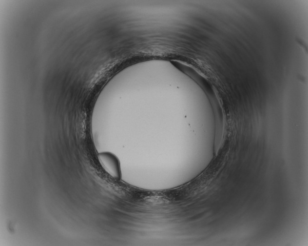 X0000099420544200806060957