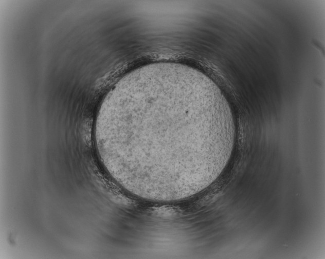 X0000099420545200806060957