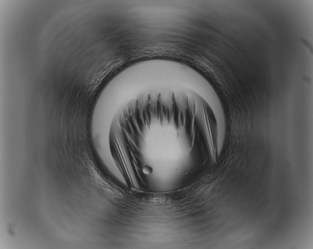 X0000099420546200806060957