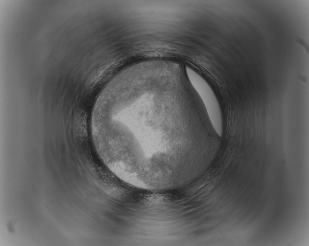 X0000099420547200806060957