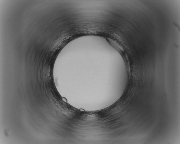 X0000099420548200806060957