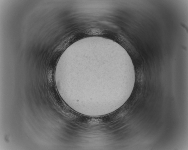 X0000099420549200806060957