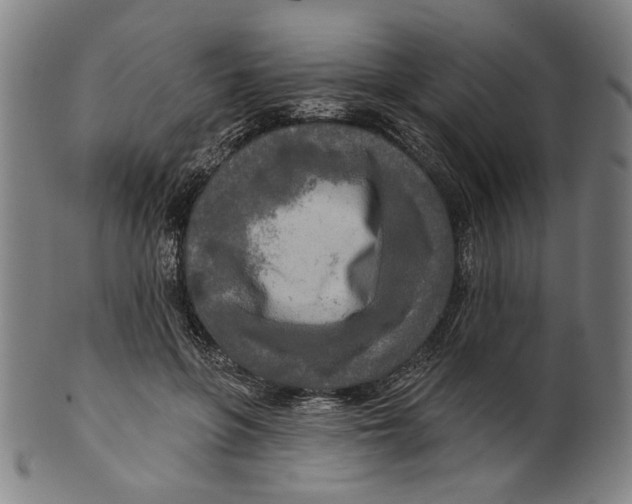 X0000099420551200806060957