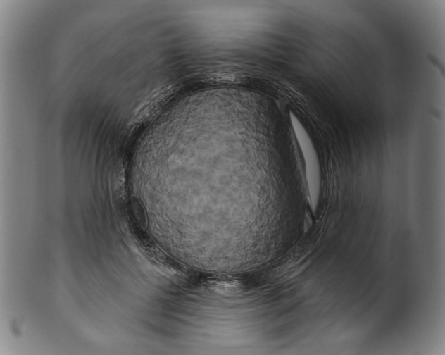 X0000099420552200806060957