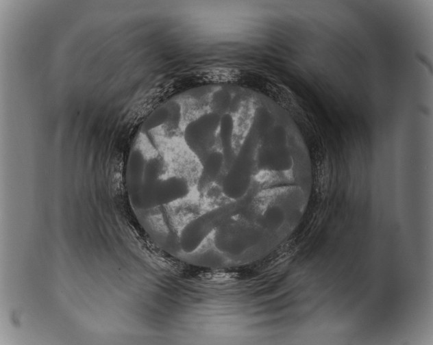 X0000099420553200806060957