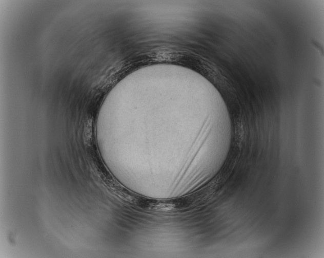 X0000099420554200806060957
