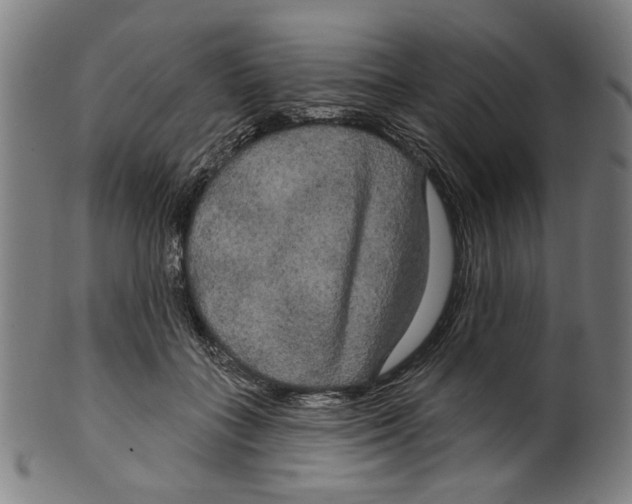 X0000099420555200806060958