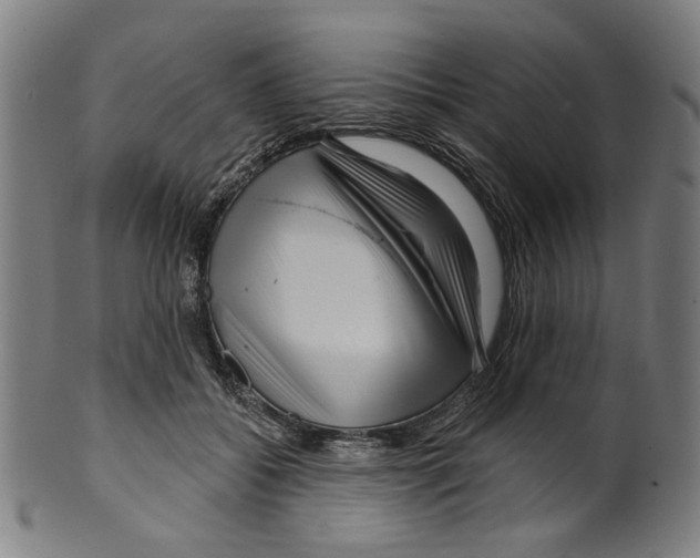 X0000099420556200806060958