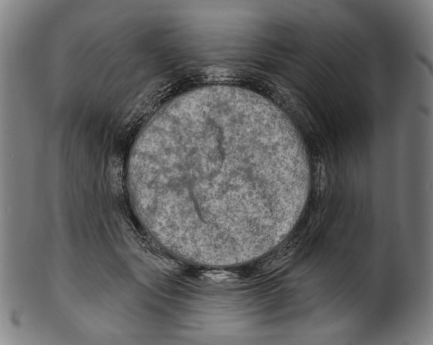 X0000099420557200806060958