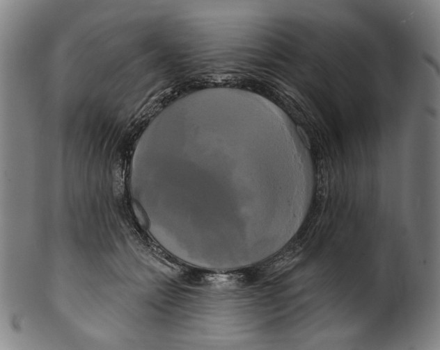 X0000099420558200806060958
