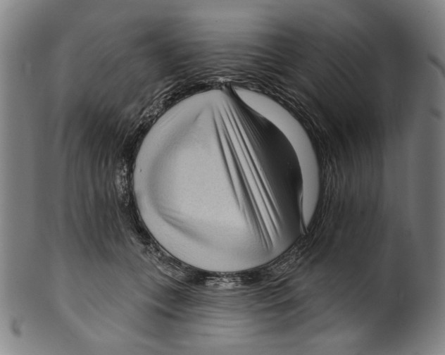 X0000099420559200806060958