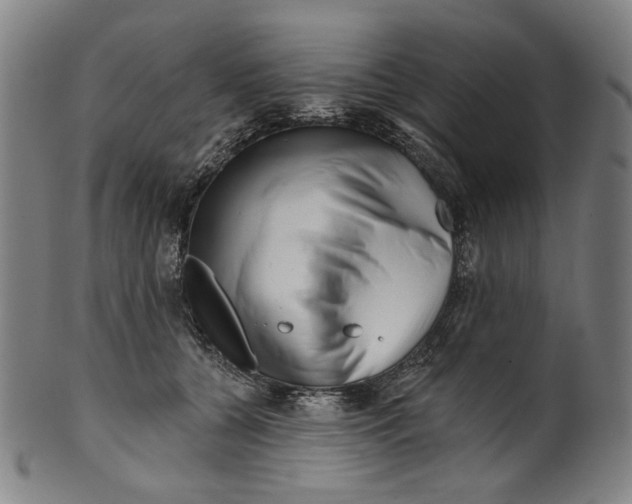 X0000099420560200806060958