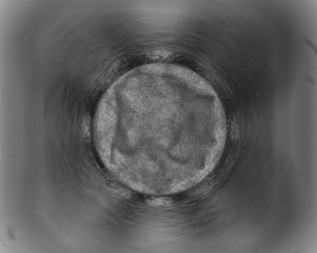 X0000099420561200806060958