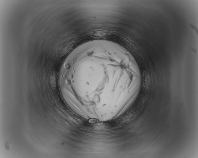 X0000099420562200806060958