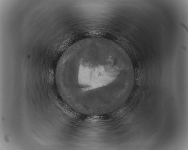 X0000099420563200806060958