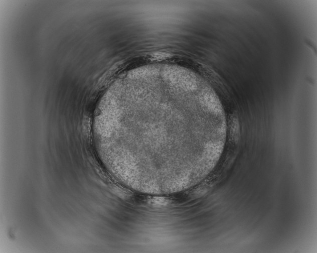X0000099420565200806060958