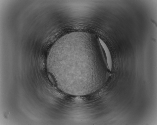 X0000099420566200806060958