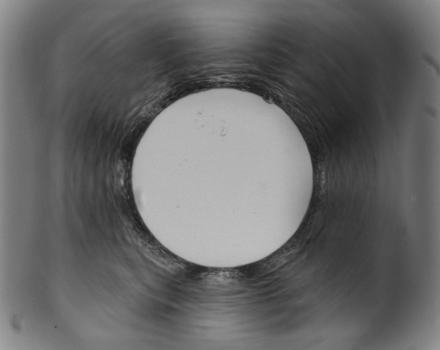 X0000099420567200806060958