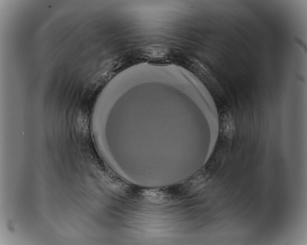 X0000099420568200806060958