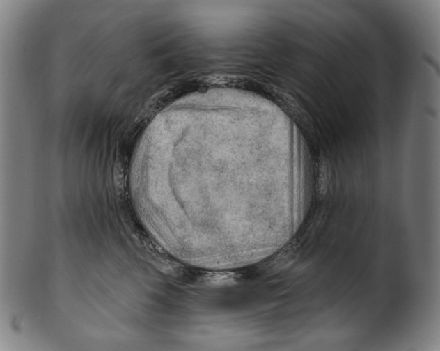 X0000099420569200806060958