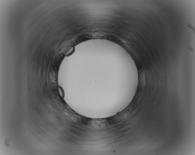 X0000099420571200806060958