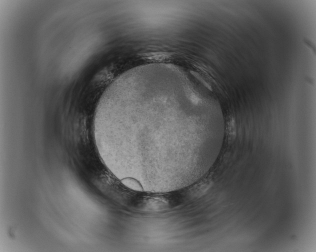 X0000099420572200806060958